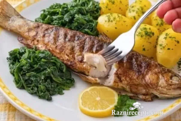 Skuša sa začinskim biljem